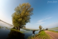 038_Biebrza - maj 2013
